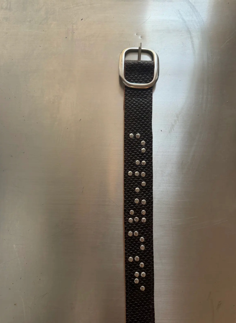 Studded Sable Branded Belt