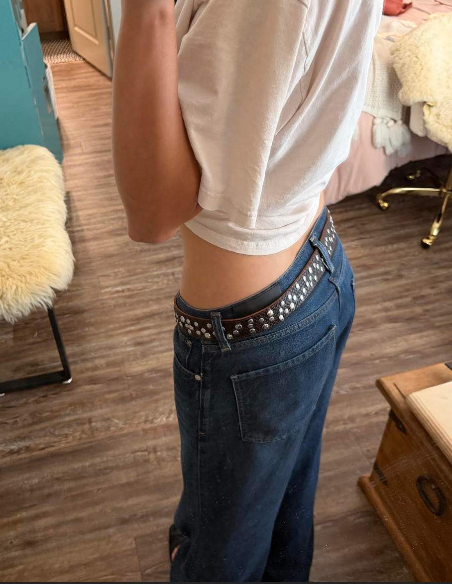 Brown Studded Belt